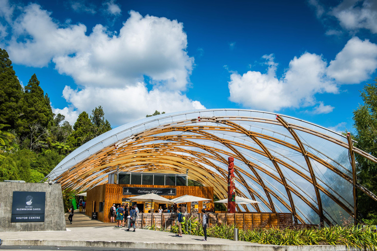 Au départ d&#039;Auckland : Visite des grottes de Waitomo avec tour en bateau