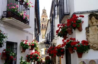 Von Sevilla aus: Privater Transfer nach Granada und Córdoba Tour
