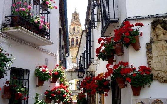 Von Sevilla: Privat Transfer nach Granada über Cordoba