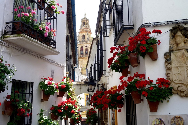 From Seville: Private Transfer to Granada and Córdoba Tour