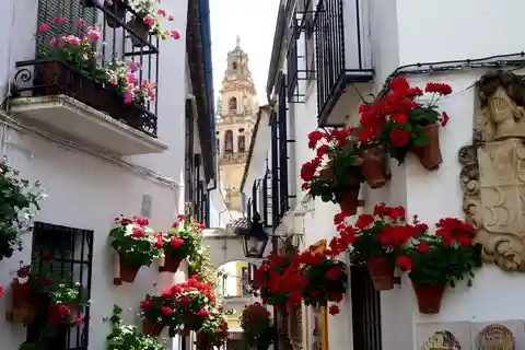 Fra Sevilla: Privat tur til Granada og Córdoba