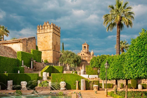 From Seville: Private Transfer to Granada and Córdoba Tour