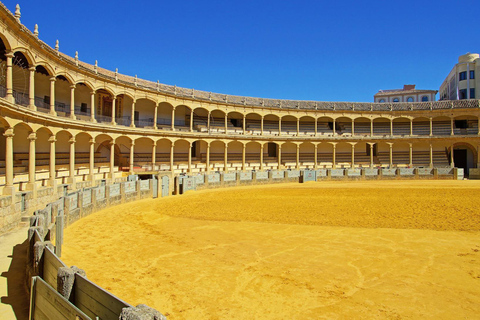 De Sevilha: Traslado Privado de Dia Inteiro para Granada via Ronda