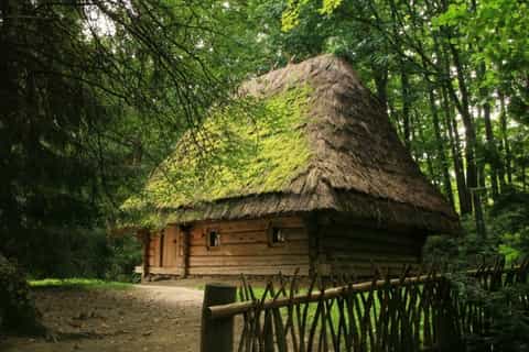 Private Tour: Shevchenkivskiy Hai Open-Air Museum
