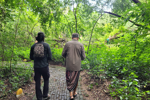 Mumbai: Parco Naturale del Maharashtra - Percorso naturalistico guidatoMumbai: Percorso naturalistico guidato nel Maharashtra Nature Park