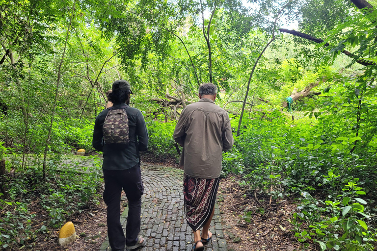 Mumbai: Parco Naturale del Maharashtra - Percorso naturalistico guidatoMumbai: Percorso naturalistico guidato nel Maharashtra Nature Park