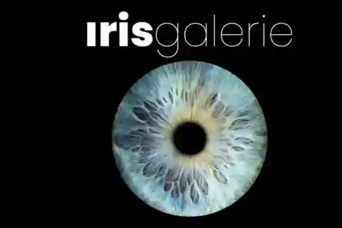 Tromsø: Reveal Your Eye Experience at the Iris Galerie