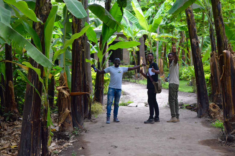 Mto wa Mbu: Waterfall, Maasai Boma, Village, & Balaa Hill Mto wa Mbu Tour & Canoe Ride on Lake Manyara