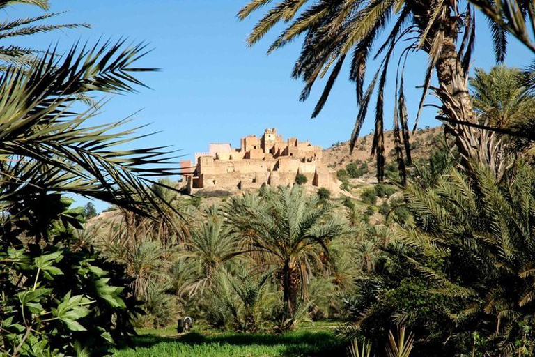 Taroudant and Tiout Oasis Trip With Lunch