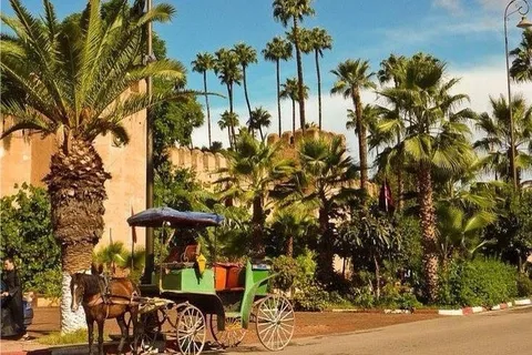 Viagem ao Oásis de Taroudant e Tiout com almoço