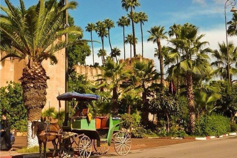 Taroudant and Tiout Oasis Trip With Lunch