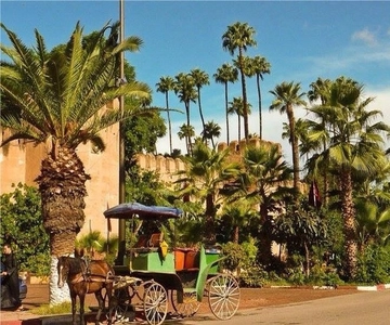 Taroudant en Tiout Oase Reis met Lunch