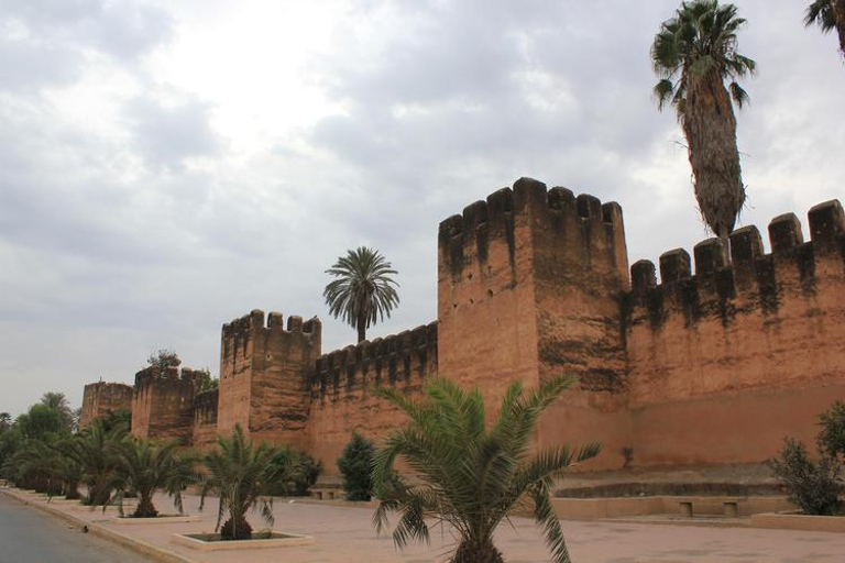 Taroudant and Tiout Oasis Trip With Lunch