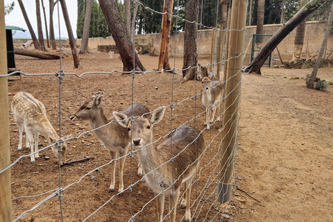 Da Salou: Parco Samá con degustazione di 1 vermouth, servizio di prelievo in hotelDa Salou: Park Samá con 1 degustazione di vermouth, servizio di prelievo in hotel