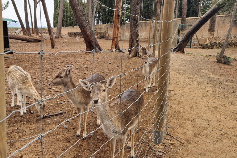 Da Salou: Parco Samá con degustazione di 1 vermouth, servizio di prelievo in hotelDa Salou: Park Samá con 1 degustazione di vermouth, servizio di prelievo in hotel