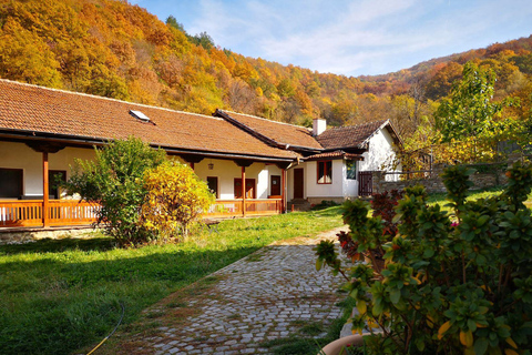 Sofia Holy Mount: Boyana Church & 3 Monasteries with 1 Trip! Private Option