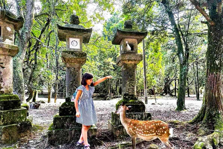 Kyoto & Nara: Private Full-Day Tour with Hotel Pickup