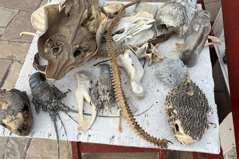 From Ica: Ballestas Islands and Paracas National Reserve. Private from Ica: Ballestas Islands and Paracas National Reserve.