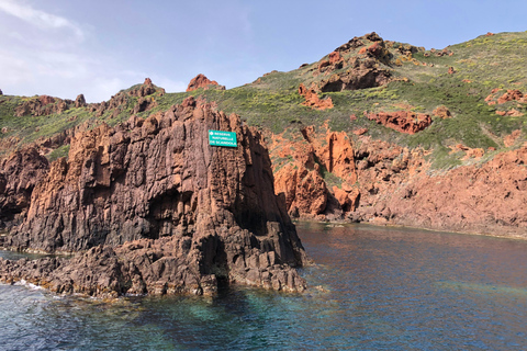 De Sagone/Cargèse: Passeio de barco por Scandola, Piana e Girolata