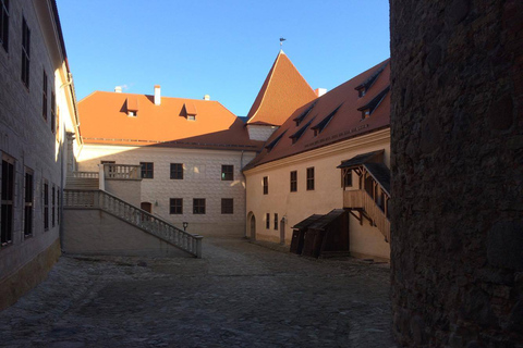 Ab Vilnius: Tour zum Schloss Rundale & Schloss Bauska nach RigaGeführte Privattour