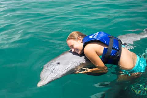 Bávaro: Atividade Funtastic no Dolphin Explorer