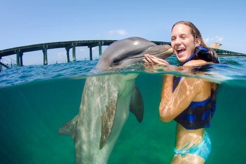 Punta Cana: Dolfijnervaring in de zeePunta Cana: Dolfijn-ontmoeting