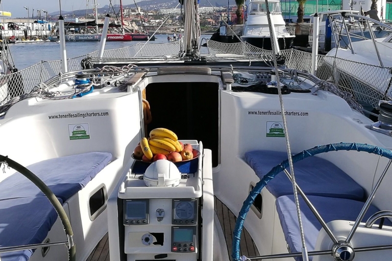 Crucero en yate privado de lujo con observación de ballenas y delfinesCrucero privado de 6 horas