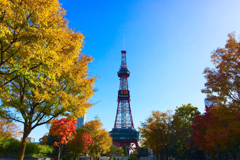 Eintägige private Sapporo Highlights TourEintägige muslimfreundliche Tour durch Sapporo