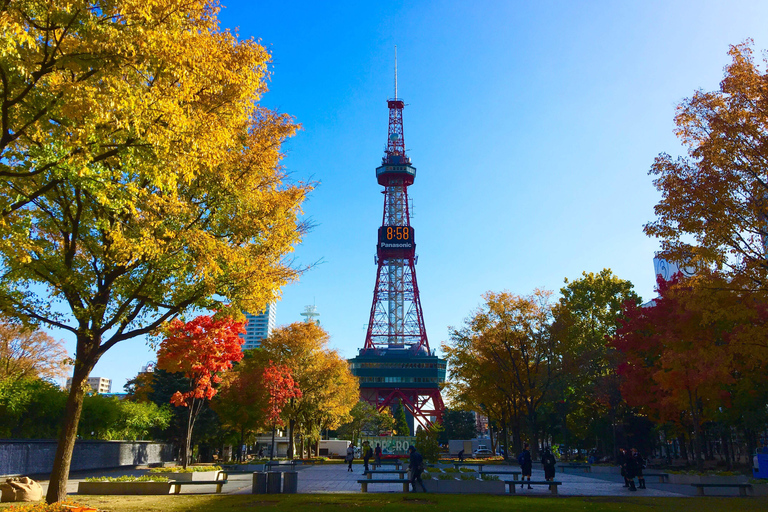 Tour privato di un giorno dei punti salienti di SapporoTour di un giorno di Sapporo a misura di musulmano