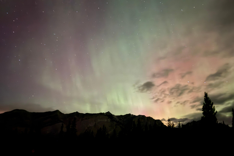 Banff Night Sky: Northern Lights and/or Stargazing Tour