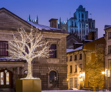 Old Montréal Small-Group Christmas Tour