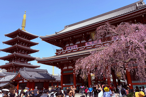 Tokyo: Private Half-Day Tour by Car with Local Guide Premium Van 6 pax