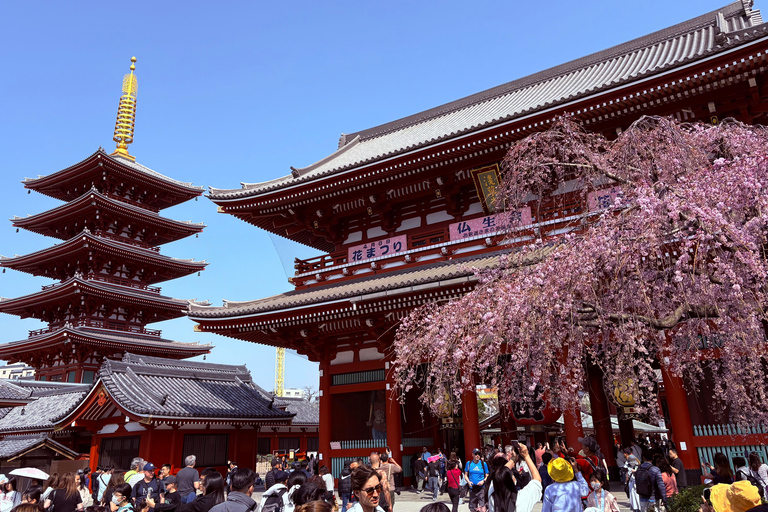 Tokyo: Private Half-Day Tour by Car with Local Guide Premium Van 6 pax