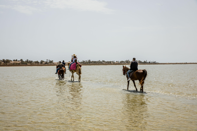 Blaue Lagune 2H Kutschfahrt in DjerbaTraditionelle Pferdekutschenfahrt in Djerba