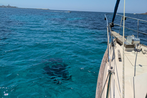Alghero: Slow Morning Sailing & Swimming Stops (Adults Only) Boat for exclusive use (Adults Only)