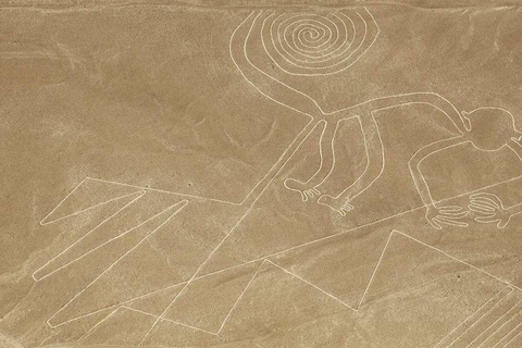 Ganztag Nazca