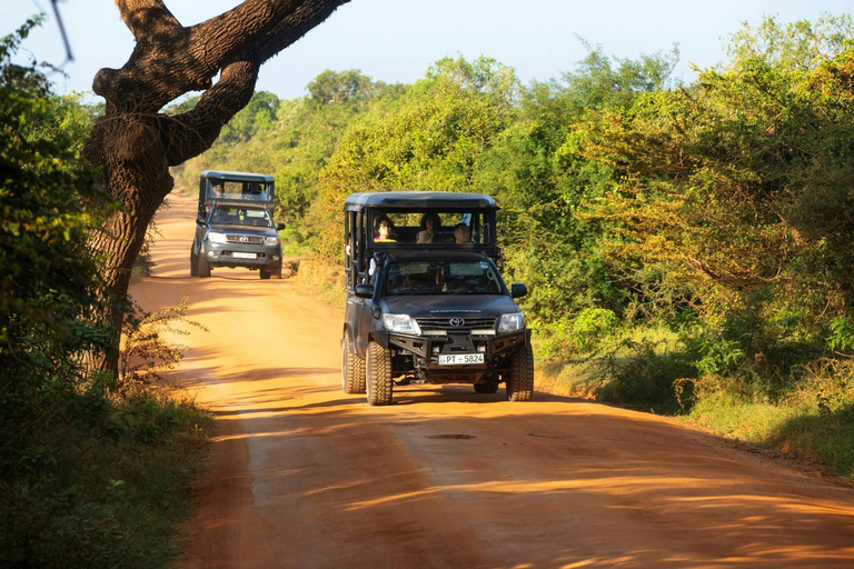 Mirissa/Galle: Traslado a Ella &amp; Safaris YALA &amp; UDAWALAWA