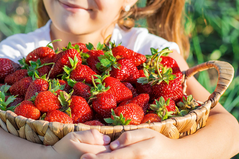 Seoul: Taean Tulip Festival and Strawberry Picking Day Tour Shared Tour, Meet at Dongdaemun