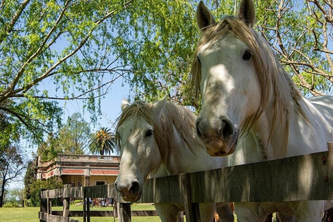 Private Tagestour zu einer argentinischen Estancia