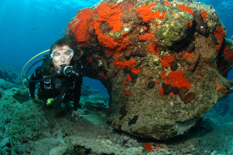 Marmaris: Beginner-Friendly Scuba Diving Tour Marmaris: Scuba Diving Without Hotel Transfer