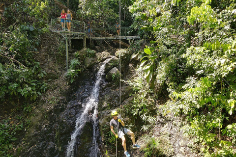 Manuel Antonio: Zipline Canopy Tour with Butterfly Garden