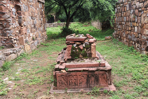 Spacer po parku archeologicznym Mehrauli