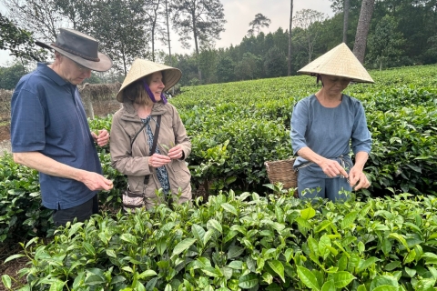 Excursion écologique à Hanoi : Merveilles du parc national de Ba Vi et plantation de théVisite privée