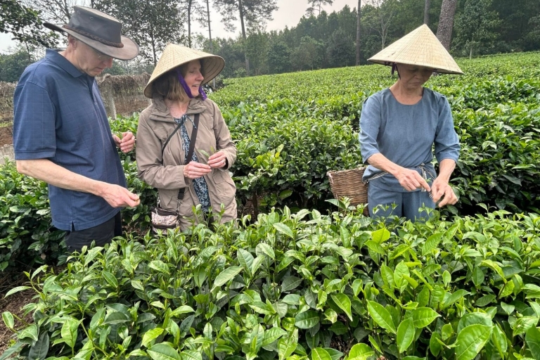 Hanoi Eco Tour: Cuda Parku Narodowego Ba Vi i plantacja herbatyWycieczka prywatna