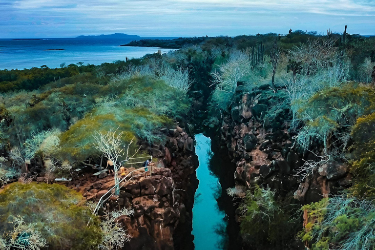 VISITE D&#039;UNE DEMI-JOURNÉE - BAIE DE SANTA CRUZ - 5 SITES DE VISITE ÉTONNANTS