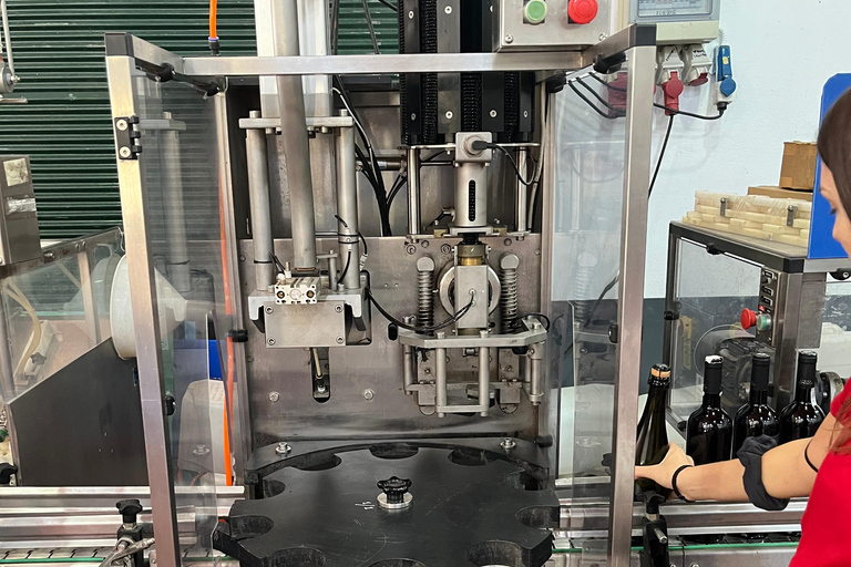 From Athens: Nemea Wine Tour with Corinth Canal Stop