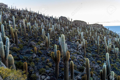 Desde Puno: excursión de 2 días y 1 noche al Salar de Uyuni