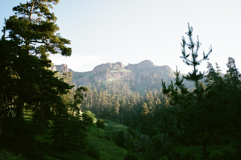 Tbilisi: 5-Day Private Guided Tour with Wine Tasting