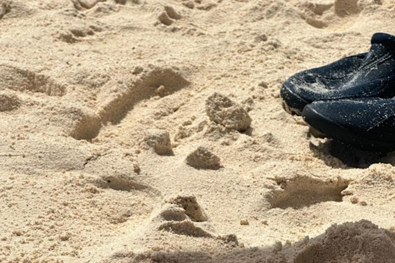 SAN ANDRES: BOAT TRANSFER + JOHNNY CAY + JOHNNY CAY SAN ANDRES: BOAT TRANSFER + JOHNNY CAY