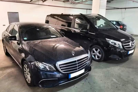 Private day tour to Évora: cork, factory, winery & the city